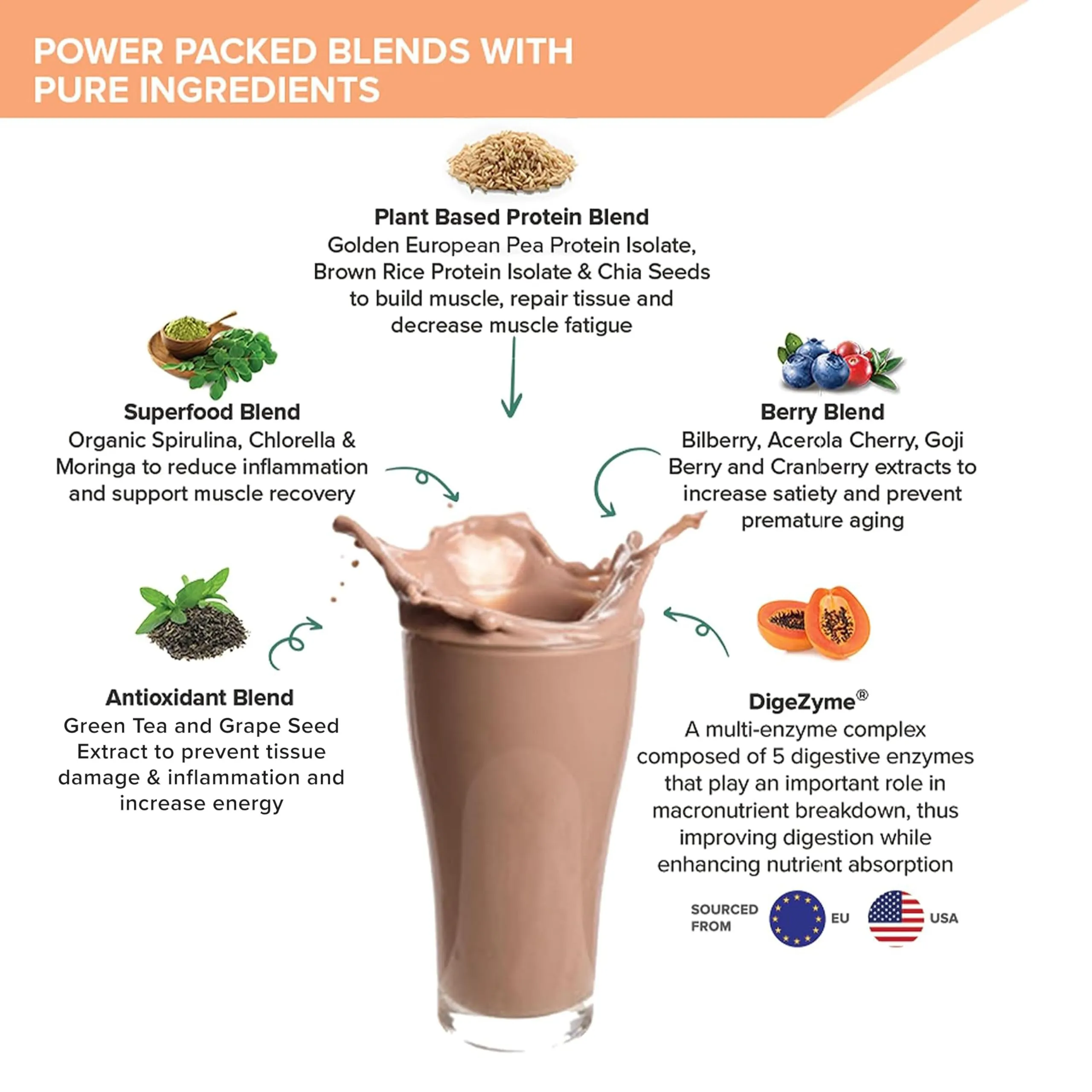 Wellbeing Nutrition Organic Vegan Plant Protein Isolate Powder | 22g Protein, 5g BCAA European Pea & Brown Rice Protein | Superfoods, Fiber for Muscle Growth & Recovery | Dark Chocolate - 500gm